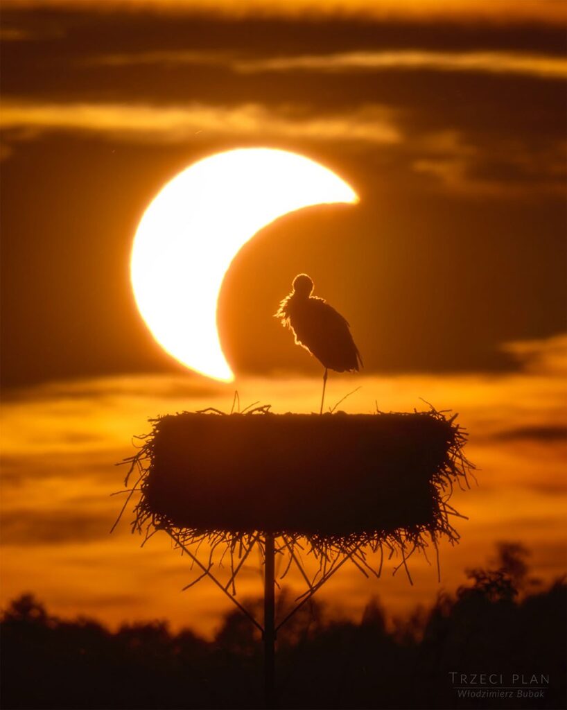September 3, 2026: Solar Eclipse and Stork | NASA APOD