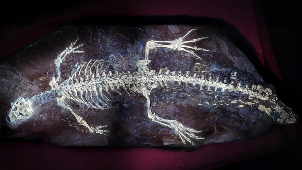 Ultraviolet Light Reveals Camouflage in 125-Million-Year-Old Crocodiles