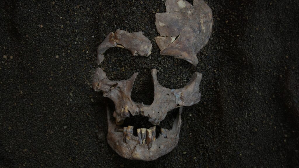 World’s Oldest Evidence of Habitual Drug Use Found in Indonesia Dates Back 25,000 Years
