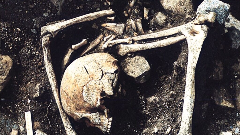1,200-Year-Old Latvian Burial Ground Reveals Victims of Sharp-Force Injuries Linked to Viking Raids