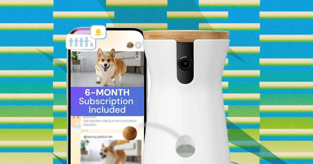 Amazon Prime Day 2026: Best Pet Deals on Feeders, Litter Boxes & More