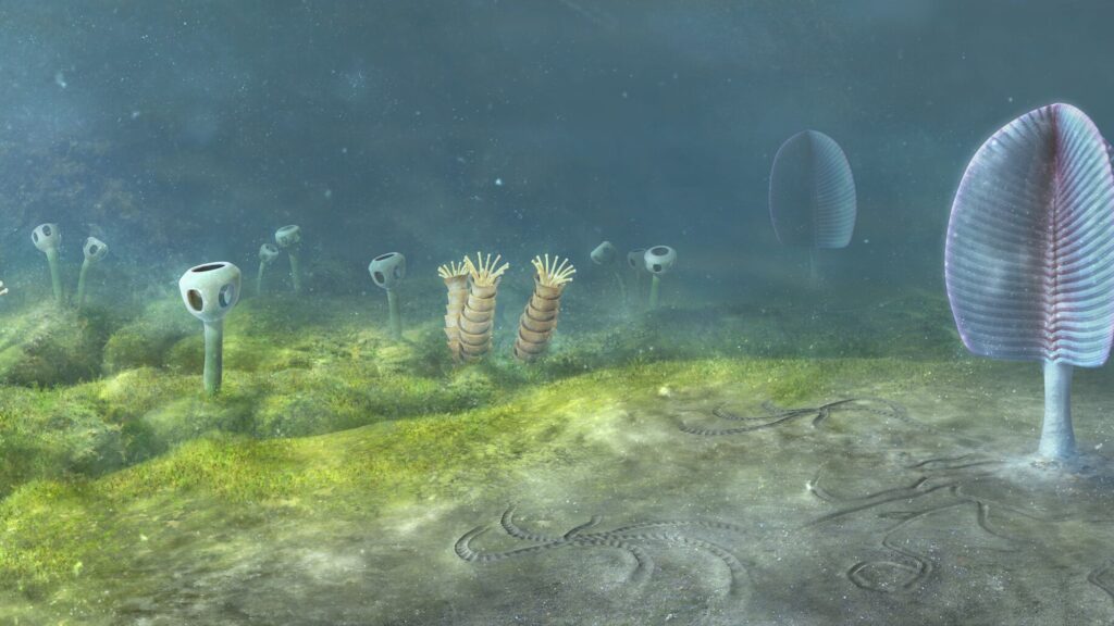 Animals May Have Evolved 200 Million Years Earlier Than Previously Thought, New Research Suggests