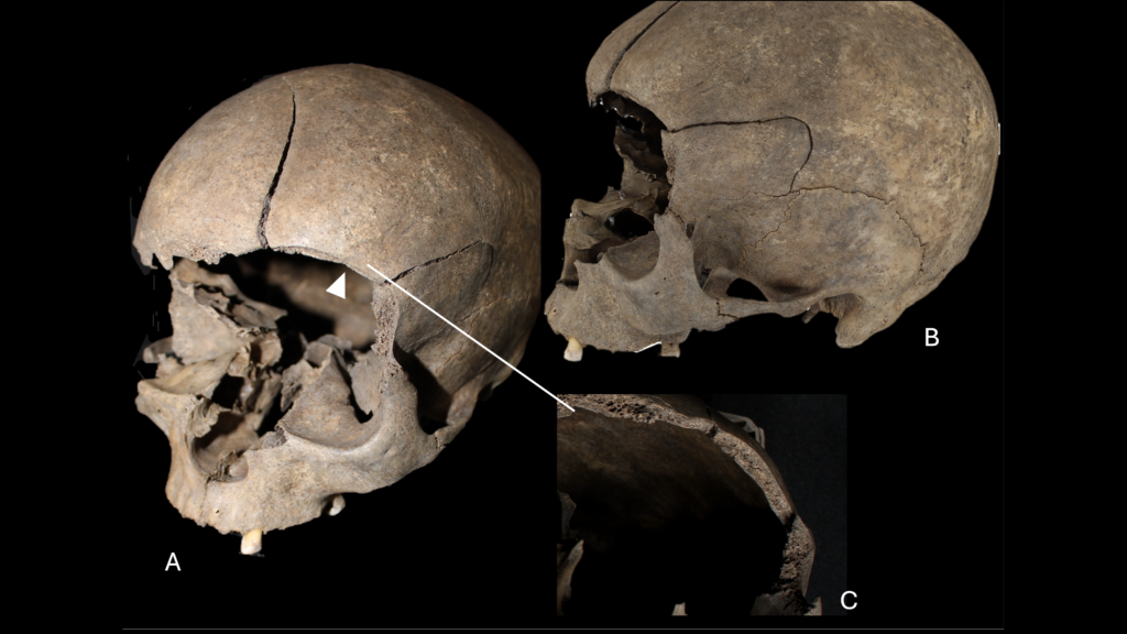 Archaeologists Discover Child’s Skull Embedded in Floor of 2,500-Year-Old Scandinavian House