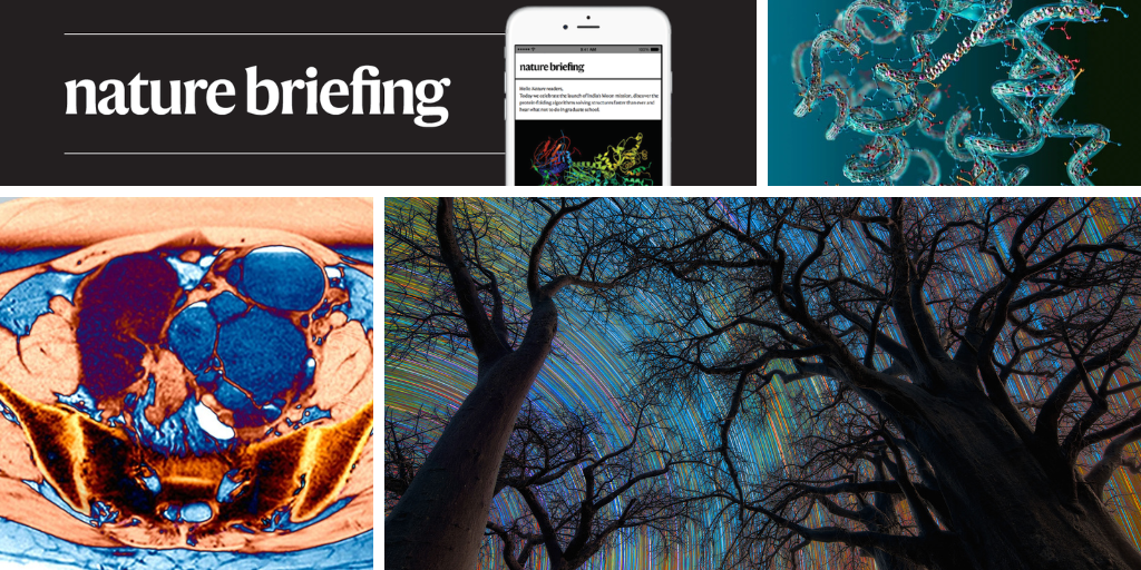 Best Science Images of the Month: A Sky Like You’ve Never Seen Before | Daily Briefing