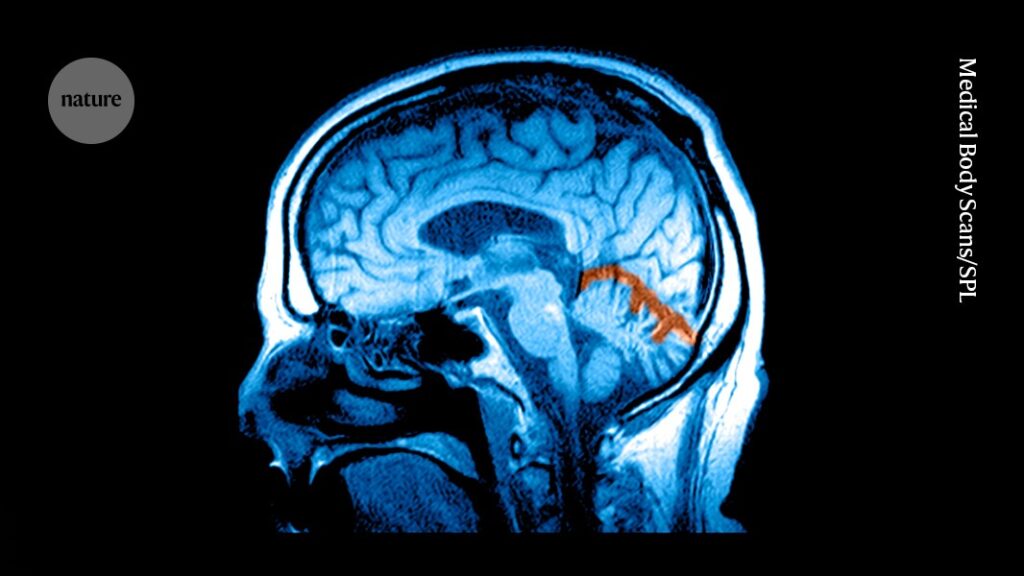 Can GLP-1 Obesity Drugs Help Treat Addiction and Depression? Exploring Their Effects on the Brain