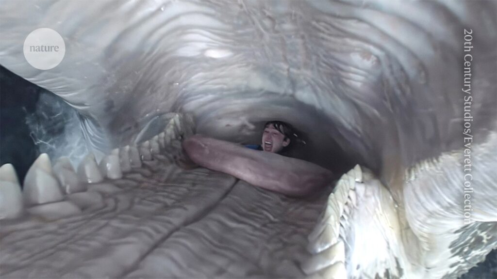 Can Humans Survive Inside a Whale’s Belly? The Science Behind Whalefall