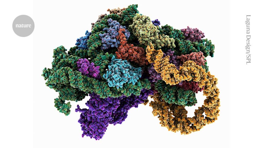 Cell-Free Biochemistry: How Biochemists Study Proteins in Test Tubes