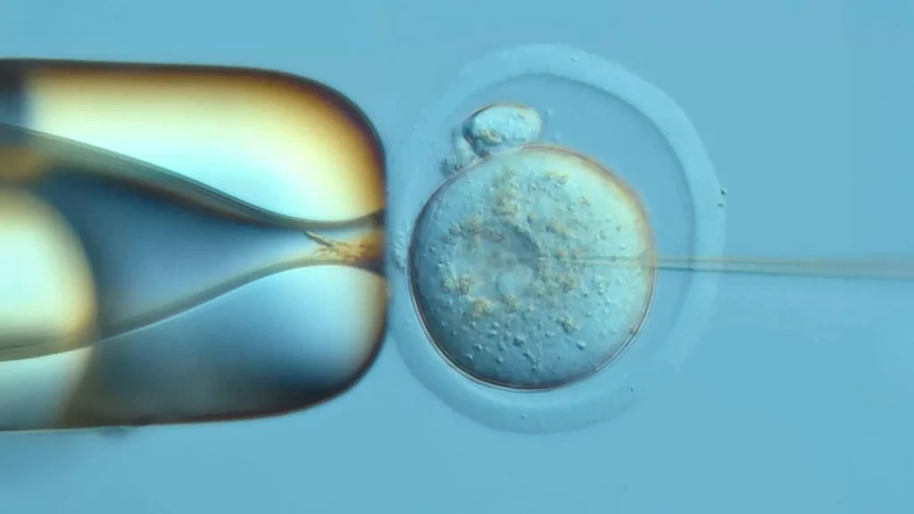 DNA Recording System Reveals How a Single Cell Develops into a Whole Body