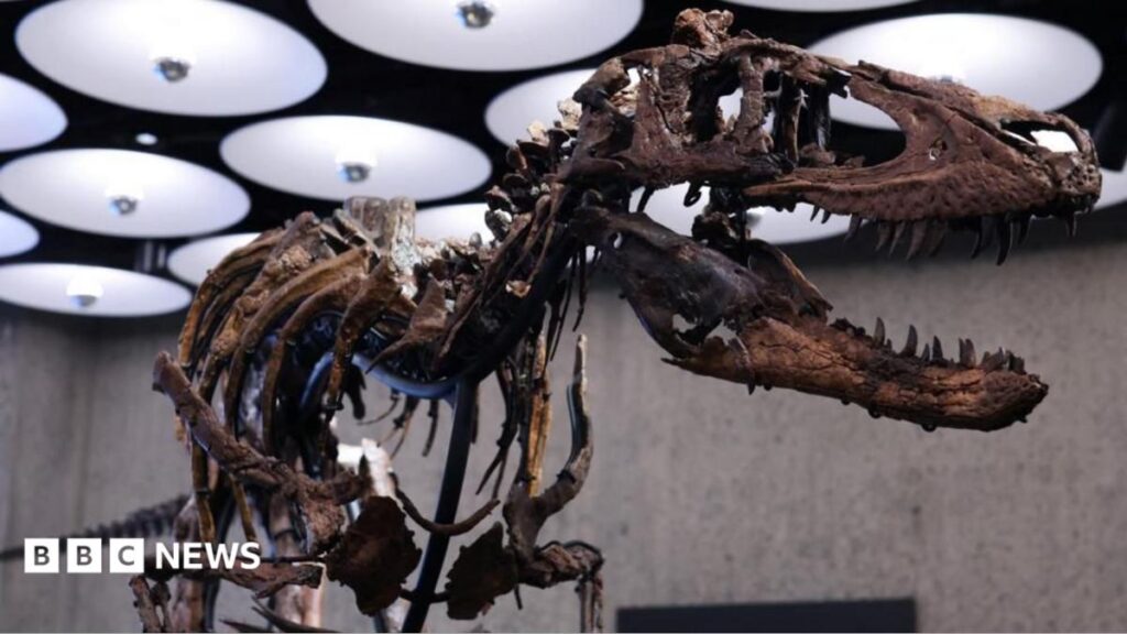 Dinosaur Skeleton Goes Up for Auction in New York With £4.5 Million Price Tag