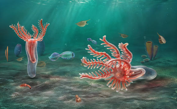 Early Cambian Fossils Reveal the Starfish Family Tree