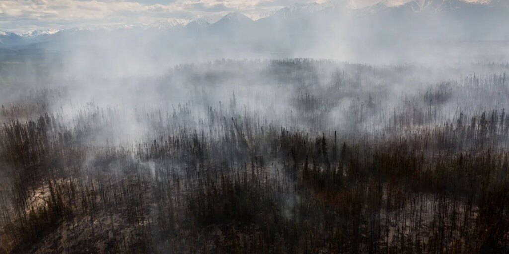 Fighting Arctic Wildfires to Protect the Planet’s Frozen Carbon