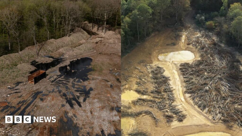 Hoads Illegal Timber Waste ‘Supersite’ Finally Cleared at a Cost of £15 Million