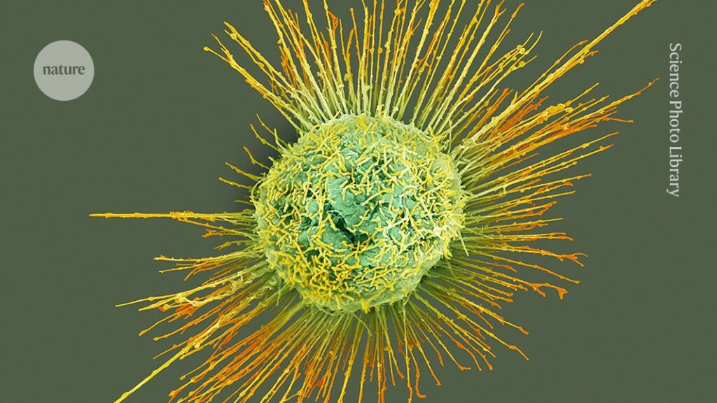Influenza Epidemic Could Spread Incredibly Quickly: What Scientists Are Monitoring