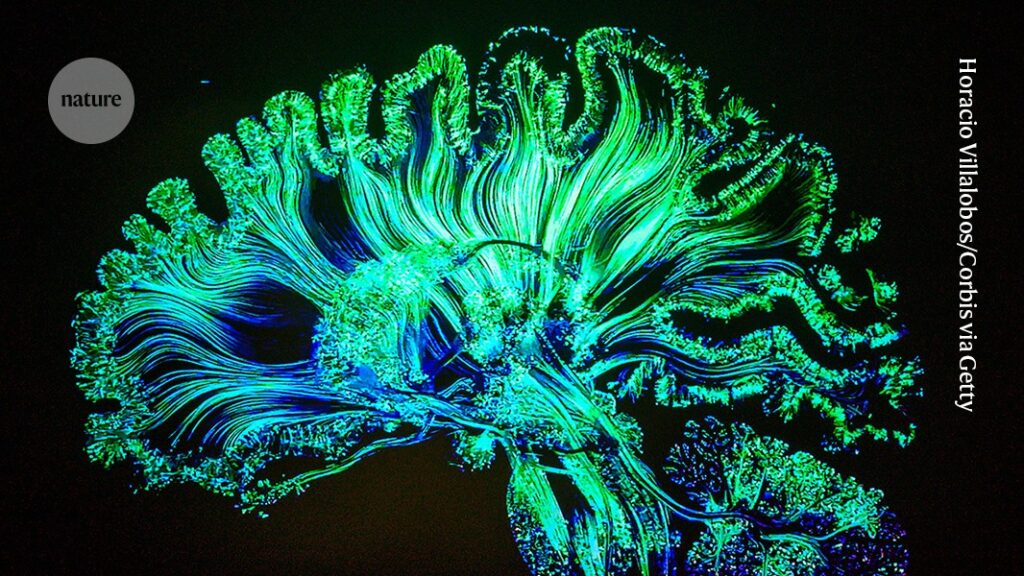 LSD Microdosing May Improve Cognitive Function in Women, Study Finds