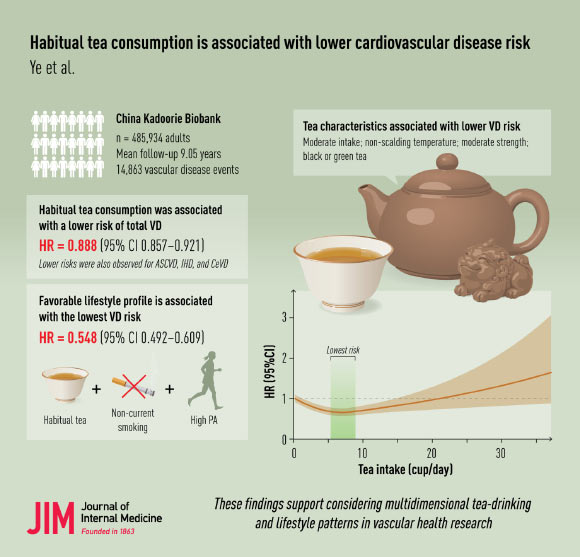 Large Study Finds Tea Drinkers May Have Lower Risk of Heart and Blood Vessel Disease