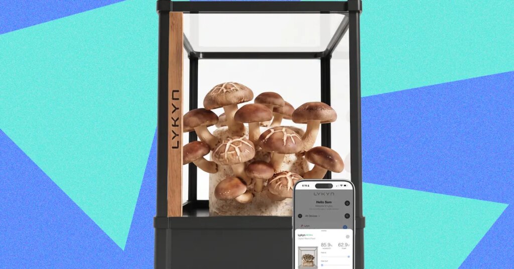 Lykyn Review: Is This Mushroom Garden Worth Bragging About?