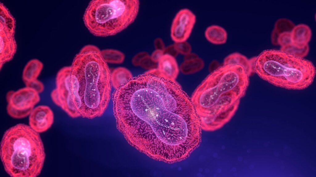 Mpox Continues Spreading in the US and Could Become Endemic, Experts Say