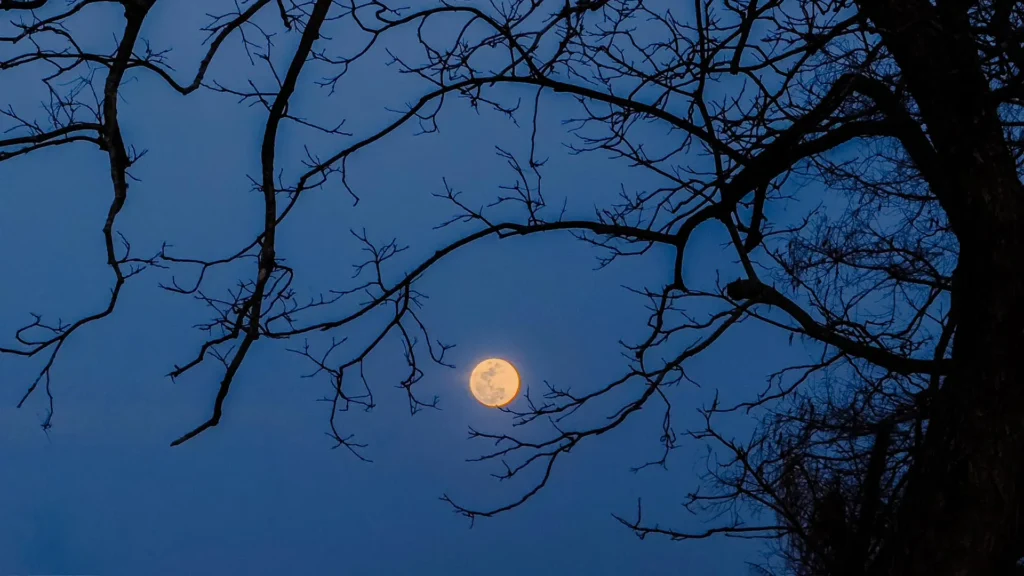 October Night Sky Guide: Cosmic Events, Tricks, and Celestial Rewards