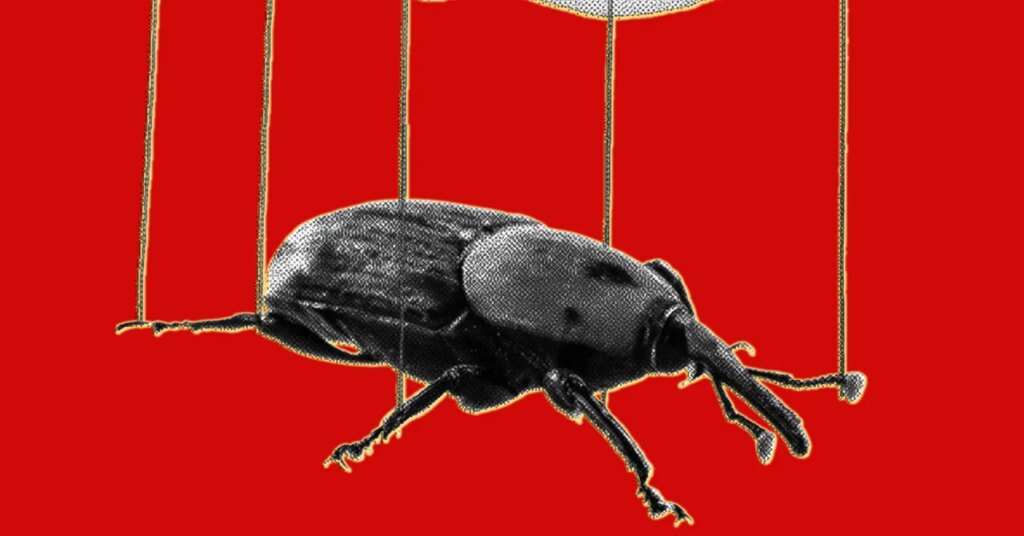 PHP Meltdown Reveals How AI Makes Software Bugs Easier to Exploit