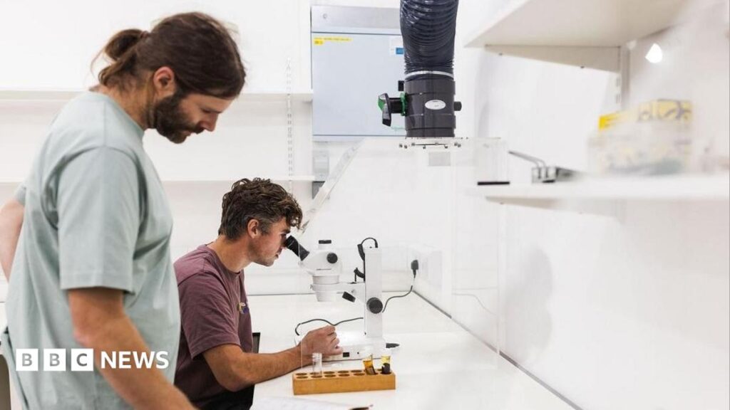 Penrith Research Institute Becomes the Cumbrian Highlands Research Center