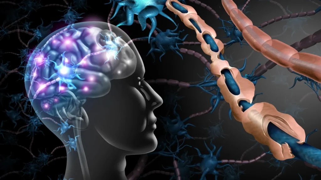 Protective Brain Cells May Contribute to Cognitive Decline