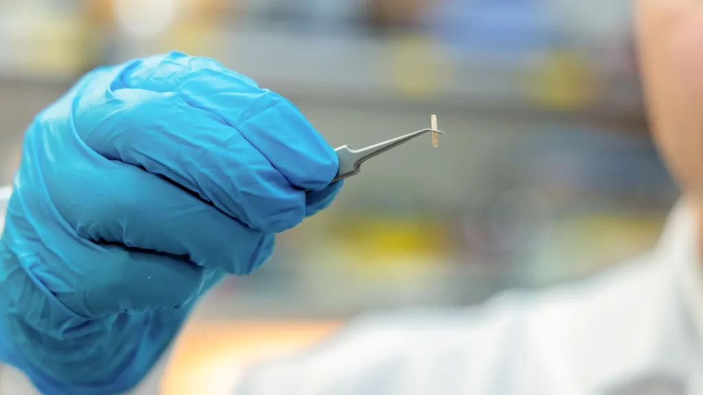 Scientists Develop Tiny Nerve-Control Device to Treat Chronic Pain