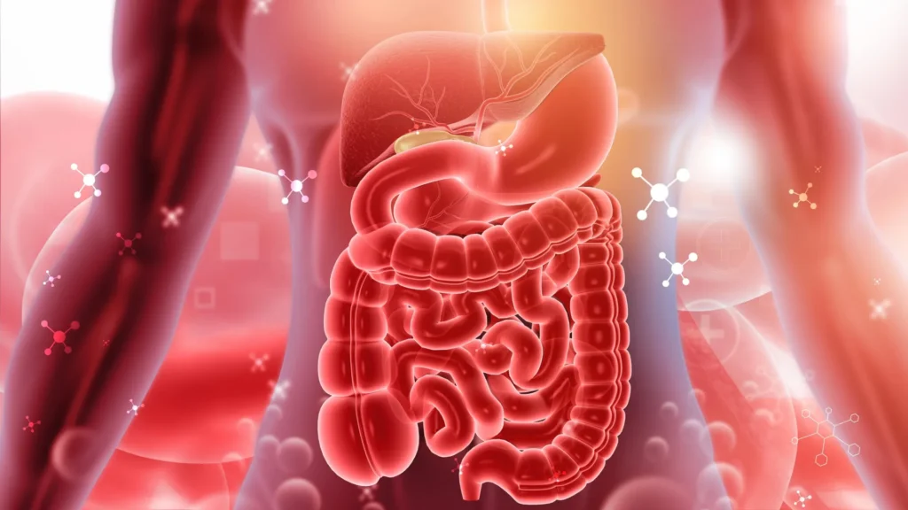 Scientists Uncover 30-Year Mystery Behind Inflammatory Bowel Disease