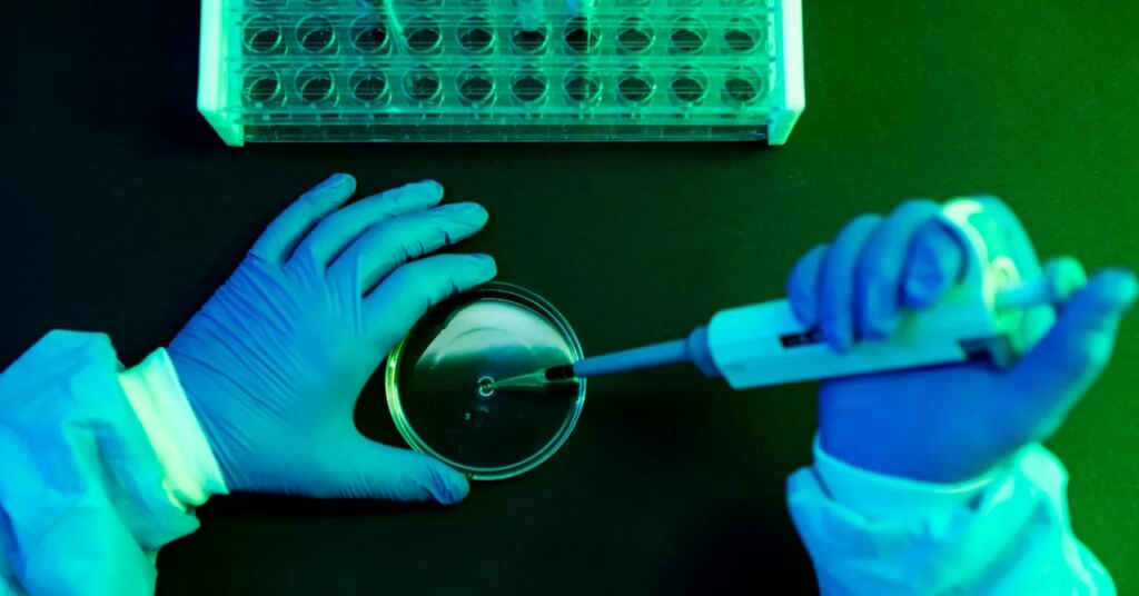 Shamonda Virus: What to Know After the First Human Infection Is Reported